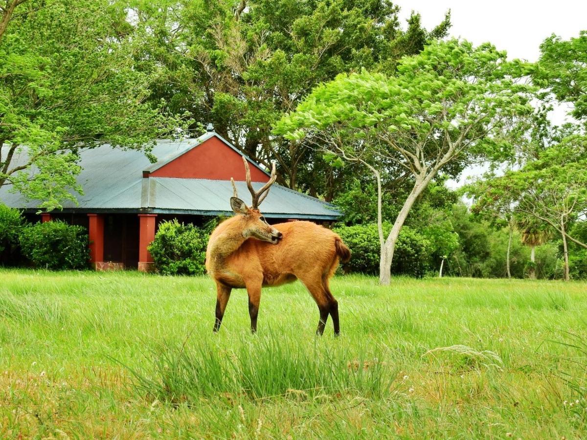 Estancia Ibera Colonia Carlos Pellegrini  Exterior foto